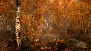 The Elder Scrolls 5: Skyrim Special Edition — скриншот 5