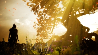 Hellblade: Senua's Sacrifice — скриншот 2
