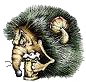 MarcArnchold